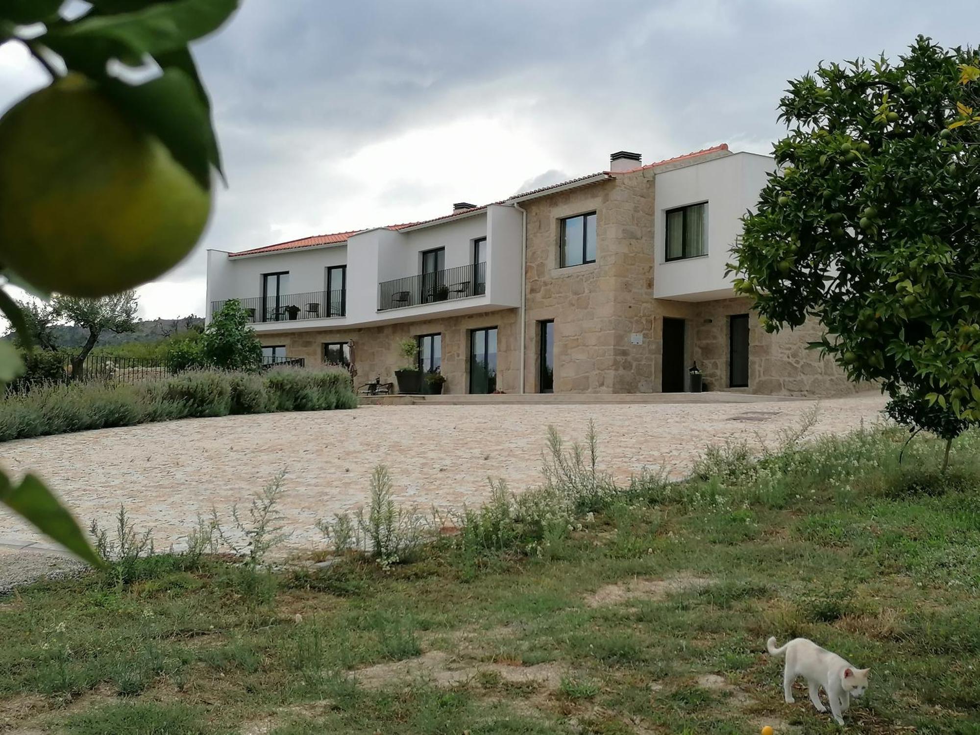 Carvalhal Redondo - Farm House Castelo Novo Eksteriør bilde